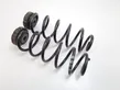 Rear coil spring