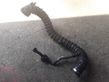 Intercooler hose/pipe