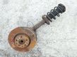 Front wheel hub spindle knuckle