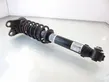 Rear shock absorber/damper