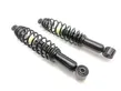 Rear shock absorber with coil spring