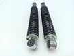 Rear shock absorber with coil spring