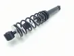 Rear shock absorber with coil spring