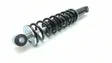 Rear shock absorber/damper