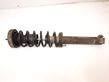 Rear shock absorber with coil spring