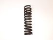 Rear coil spring