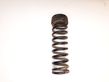 Rear coil spring