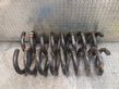 Rear coil spring