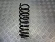 Rear coil spring