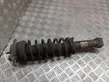 Rear shock absorber/damper