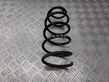 Rear coil spring