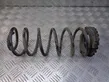 Rear coil spring