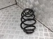 Rear coil spring