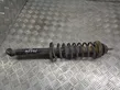 Rear shock absorber/damper