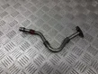 EGR valve line/pipe/hose