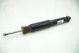 Rear shock absorber/damper