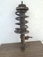 Front shock absorber with coil spring