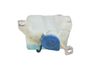 Windshield washer fluid reservoir/tank