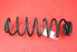 Rear coil spring