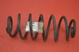 Rear coil spring