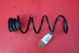 Rear coil spring