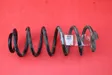 Rear coil spring