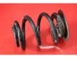 Rear coil spring