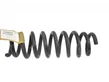 Rear coil spring