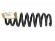 Rear coil spring