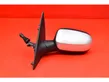 Front door electric wing mirror