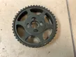 Crankshaft pulley