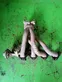 Exhaust manifold