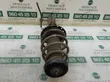 Front shock absorber with coil spring