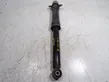 Rear shock absorber/damper