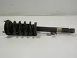 Front shock absorber with coil spring