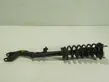 Front shock absorber with coil spring