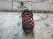 Front shock absorber with coil spring