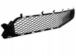 Front bumper lower grill