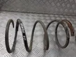 Front coil spring