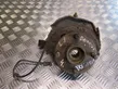 Front wheel hub spindle knuckle