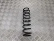 Rear coil spring