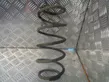 Front coil spring