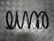 Front coil spring