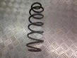 Rear coil spring