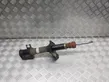 Rear shock absorber/damper