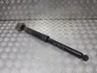 Front shock absorber/damper