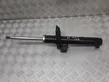 Front shock absorber/damper