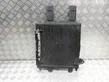 Air conditioning (A/C) radiator (interior)