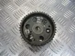 Timing chain sprocket