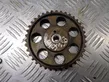 Timing chain sprocket